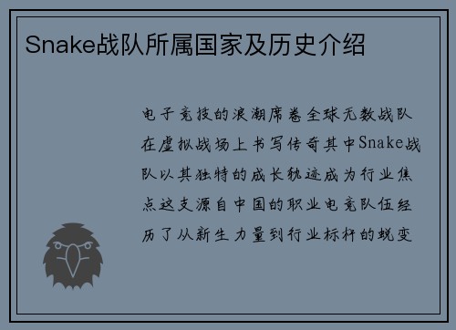 Snake战队所属国家及历史介绍