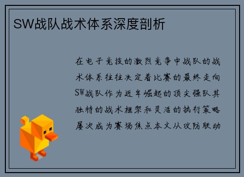 SW战队战术体系深度剖析
